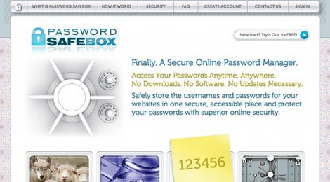 Portfolio: Password Safebox